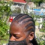 Feed-in Braids (10)