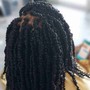 Soft Locs/ Faux locs