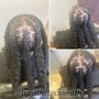 Illusion Locs (faux locs over natural locs)