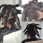 Dread repair