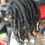 Mini Passion Twists