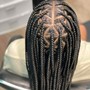 Medium Knotless/ Box Braids