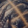 Fulani adult Braids 12 and up