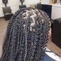 Poetic Justice Braids