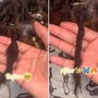 Locs Retwist HALF HEAD