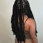 Bonita Locs