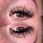 Hybrid Lash Fill