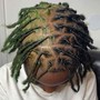 Loc Maintenance Fade