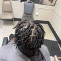 Starter Locs