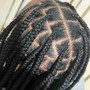 Medium Box Braids middle back