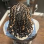 Passion Twists Bob