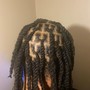 Medium Locs