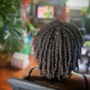 Starter Locs x Two Strand twist method