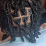 Starter Locs