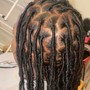 Starter Locs