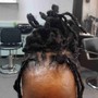 Two strand twist