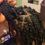 Natural Twists (Add Hair)