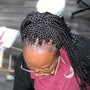 Braided Ponytail