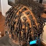 Starter Locs full head