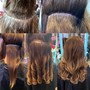 Hair Extension Consultation