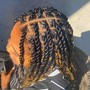 Small Kinky Twists Waist Length