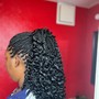 Spyro curl braids