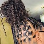 Two Feed-In Braids