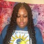 Small Box Braids/ Knotless Boxbraids (   Hipster Length)