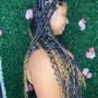 Medium Passion Twist/Senegalese twist