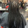 Box Braids