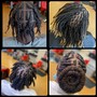 Starter Locs on a Fade Cut Medium Sized