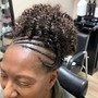 Root Touch Up