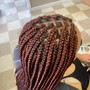 Feed in Braids with singles