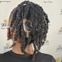 Loc Coils/Starter Locs