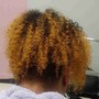 Root Touch Up