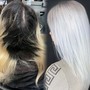 Bleach Root Touch Up