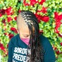 Regular Crochet Braids