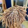 Root Touch Up