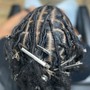 Starter Locs