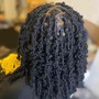 Tree Braids