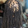 Adult starter locs