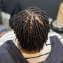 Comb Twist ( starter locs)