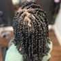 Passion Twists Bob