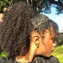 Natural Style (Braid/ Updo)