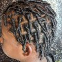 Starter Locs