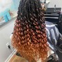 Crochet Braids w/ pre-braided/twisted extention