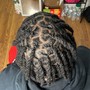 Medium 2 Strand Twists