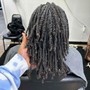 Starter Locs