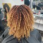 Comb Twist