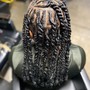 Tree Braids with human hair